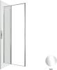 Душевая дверь в нишу Allen Brau Priority 3.31025.00 профиль хром, 900x2000 фото 4