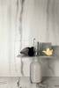 Керамогранит Rex Ceramiche Prexious 756427 Dream Arabesque Glossy Ret 6mm 160x320 фото 2
