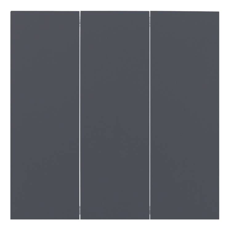 Клавиши трехклавишного выключателя Rikett 35661 BT базальт