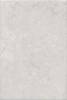 Керамическая плитка Kerama Marazzi Ферони 8349 серый светлый матовый 20x30