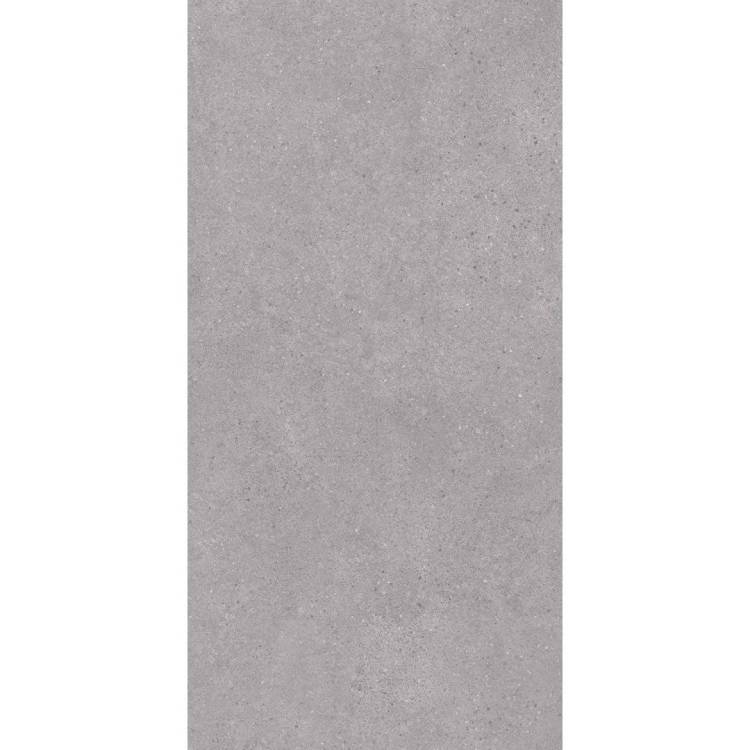 Керамогранит Kerama Marazzi Фондамента DL590020R Серый Светлый Обрезной 119.5x238.5