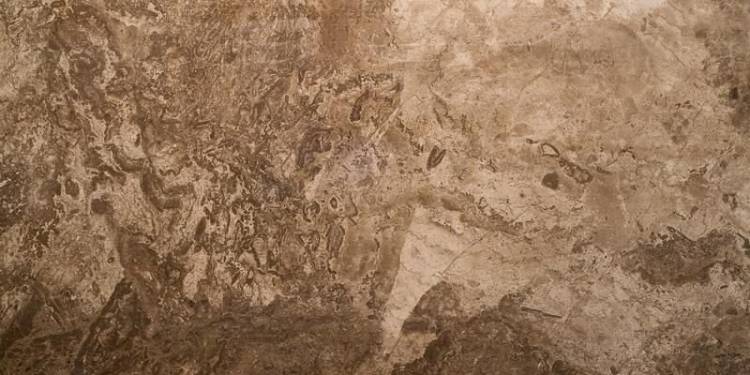 Керамогранит Seranit FOSSIL Brown Full Lappato 600x1200
