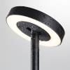 Грунтовый светодиодный светильник Odeon Light Disc 7189/6GL фото 6