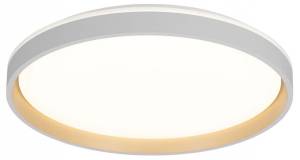 Накладной светильник Citilux Enzo CL753510G