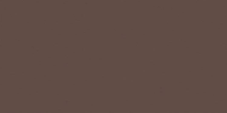 Керамогранит Estima Rainbow 39217 RW04/NS_R9/80x160x11R/UC Brown 80x160