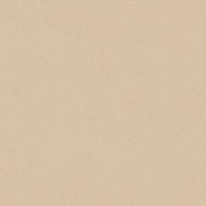 Линолеум Tarkett Acczent Pro Aspect 5 2.5м (резка)