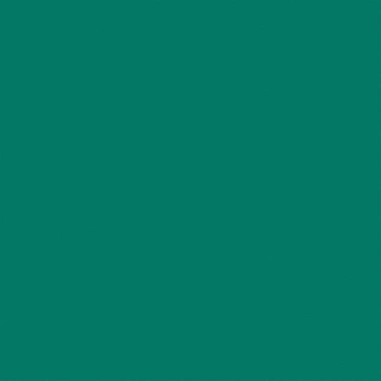 Спортивное ПВХ покрытие Tarkett Omnisports Action 65 Forest Green (рулон: 2x20.5=41 м2)