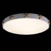 Потолочный светодиодный светильник Loft IT Axel 10006/36 white фото 6