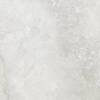 Керамогранит Absolut Gres Canoli AB1206G Gloss 600x600 фото 8