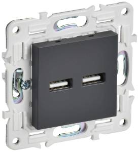 Розетка USB type A+A IEK Skandy SK-U21-D31-K48 титан