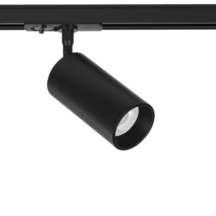Светильник потолочный Arte Lamp Aero A1336PL-1BK