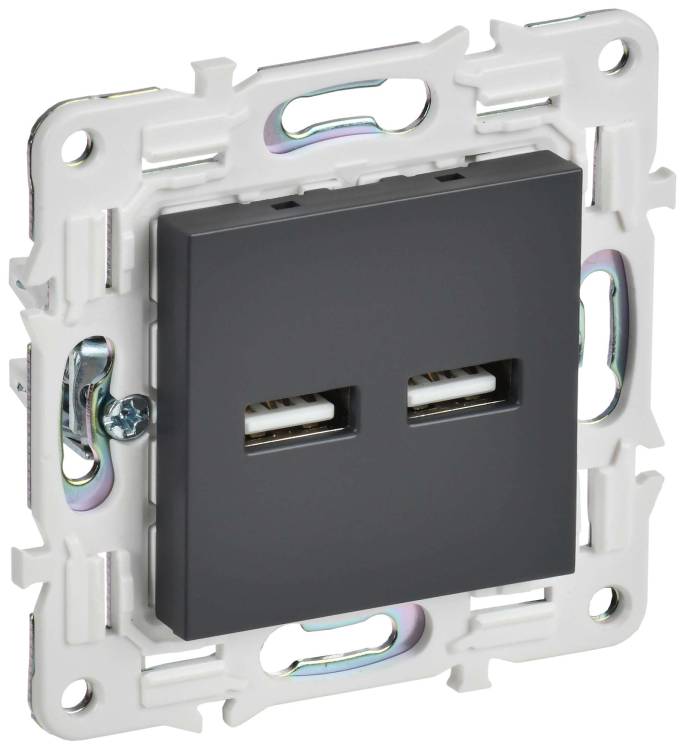 Розетка USB type A+A IEK Skandy SK-U21-D31-K48 титан