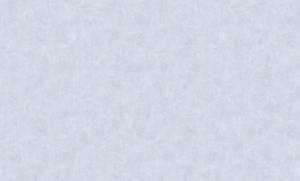 Обои флизелиновые Bernardo Bartalucci Carlotta 84214-5