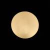 Настенный светодиодный светильник ST Luce Aureo SL457.201.01 фото 3