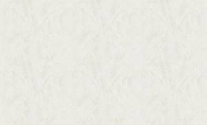 Обои флизелиновые Bruno Zoff Silver 60114-1