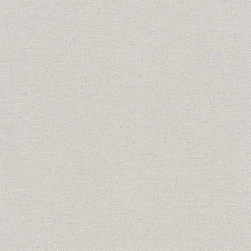 Обои Rasch Salsa 448610