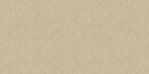 Обои бумажные Bruno Zoff Gold 60130-5