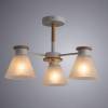 Потолочная люстра Arte Lamp Tyler A1031PL-3WH фото 3