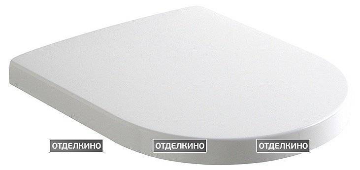 Крышка-сиденье Olympia Clear C6CL011 петли хром