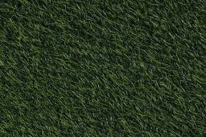 Искусственная трава Импортэкс 30мм (рулон: 1x2=2 м2)