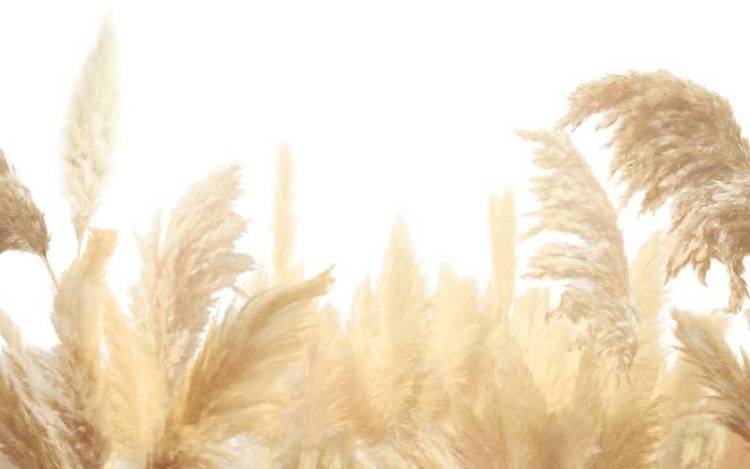 3D Фотообои Artegrafico «Поле колосьев» NJ-016 песок