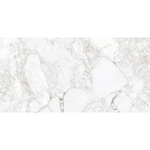 Керамогранит Absolut Gres Rossalia Natural AB 1171G Gloss 60x120