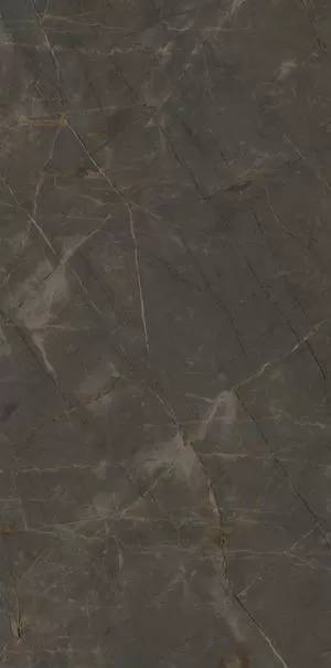 Керамогранит Ariostea Marmi Classici PL612515 Pulpis Grey Luc Ret 120x60