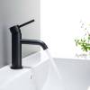 Смеситель для раковины Aquatek Европа AQ1310MB черный матовый фото 3