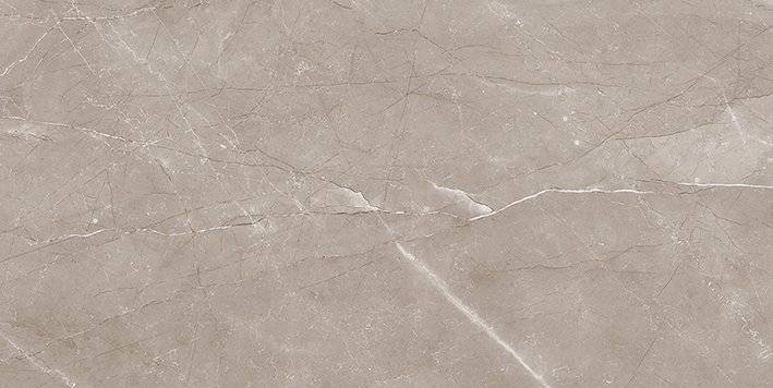 Керамическая плитка Laparet Savoy 00-00-5-08-01-15-2460 Коричневый 40x20
