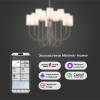 Большая подвесная люстра Eurosvet Abbey 60164/10 никель Smart фото 4