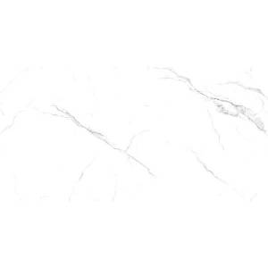 Керамогранит Absolut Gres Alba AB3115G 60x120