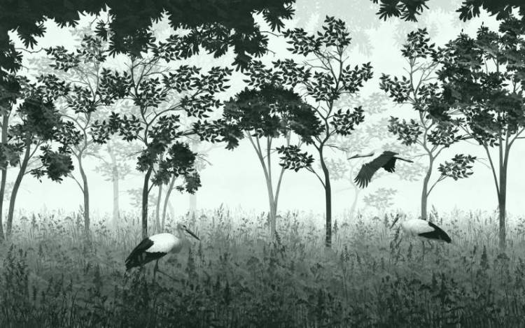 3D Фотообои Artegrafico «Аисты на поляне в зелёном» VG-018 канвас