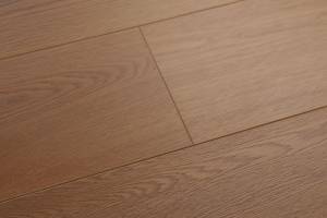 Ламинат Damy Floor Традиция (Tradition) 8/33 4V DFL-102st Дуб Шервуд 1217x196