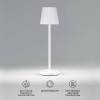 Настольная лампа светодиодная аккумуляторная Elektrostandard Mist TL70220 белый