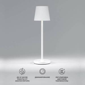 Настольная лампа светодиодная аккумуляторная Elektrostandard Mist TL70220 белый