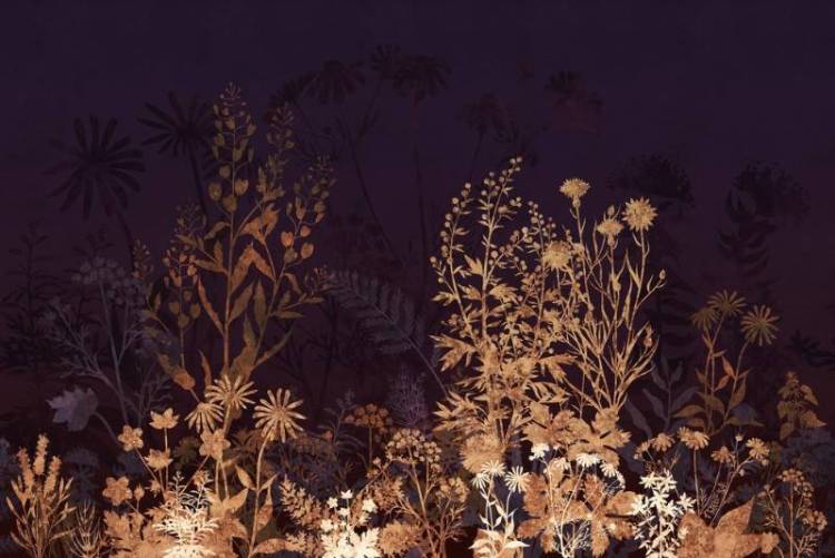 3D Фотообои Artegrafico «Композиция из трав в тёплых тонах» HRB-010 песок