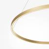 Подвесной светильник Maytoni Modern Rim MOD058PL-L54BSK фото 2