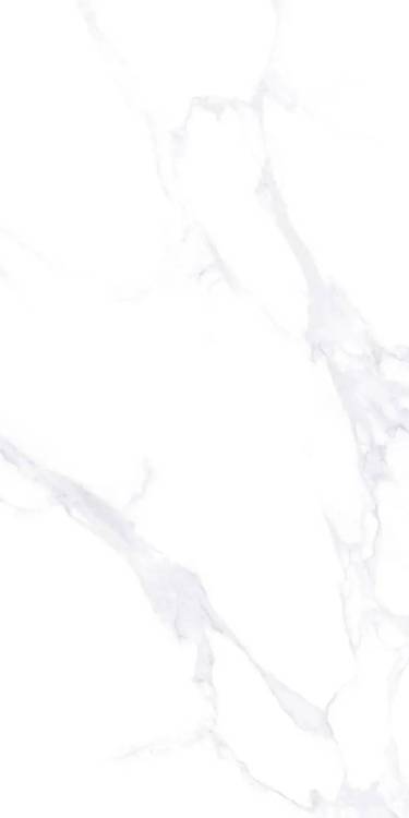 Керамогранит Vizavi Ceramica Lande ZA-L12605 Полированный 60x120