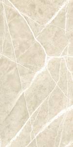 Керамогранит NT Ceramic Granite NTT99619PC Wisdom Stone Punch Carving 60x120