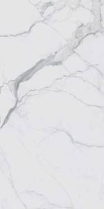 Керамогранит Rex Ceramiche I Classici Di Rex 757833 Statuario Glossy Ret 120x280