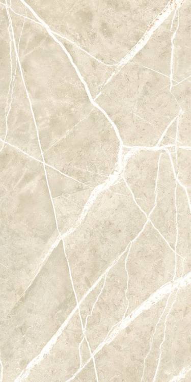 Керамогранит NT Ceramic Granite NTT99619PC Wisdom Stone Punch Carving 60x120