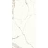 Керамогранит Ariostea Marmi Classici PL612527 Bianco Calacatta Luc 60x120