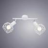 Спот Arte Lamp A6141AP-2WH фото 2