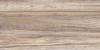 Керамическая плитка Alma Ceramica Dublin TWU09DBL404 24.9x50