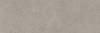 Керамическая плитка TAU Ceramica Portwall 031.627.0408.15504 Rlv. Bloom Greige Mate Rect 33.3x100 фото 17