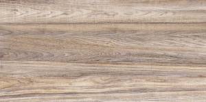 Керамическая плитка Alma Ceramica Dublin TWU09DBL404 24.9x50