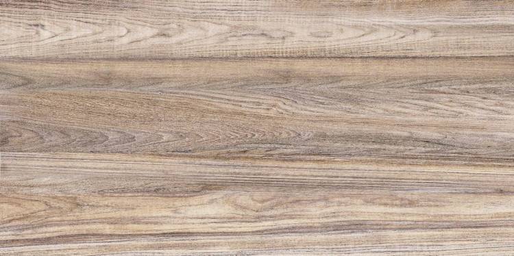 Керамическая плитка Alma Ceramica Dublin TWU09DBL404 24.9x50