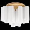 Потолочная люстра Lightstar Nubi Legno 802035 фото 4