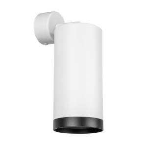 Настенно-потолочные светильники Lightstar Rullo RB34863487