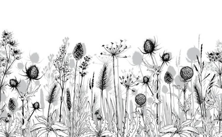 3D Фотообои Artegrafico «Цветочная зарисовка» GR-003 акварель